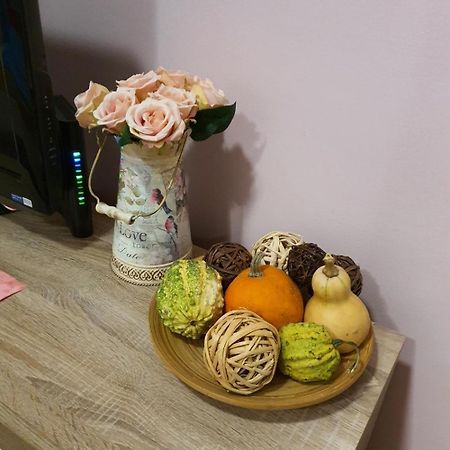 Studio Apartman Ld U Strogom Centru Novi Sad Eksteriør billede