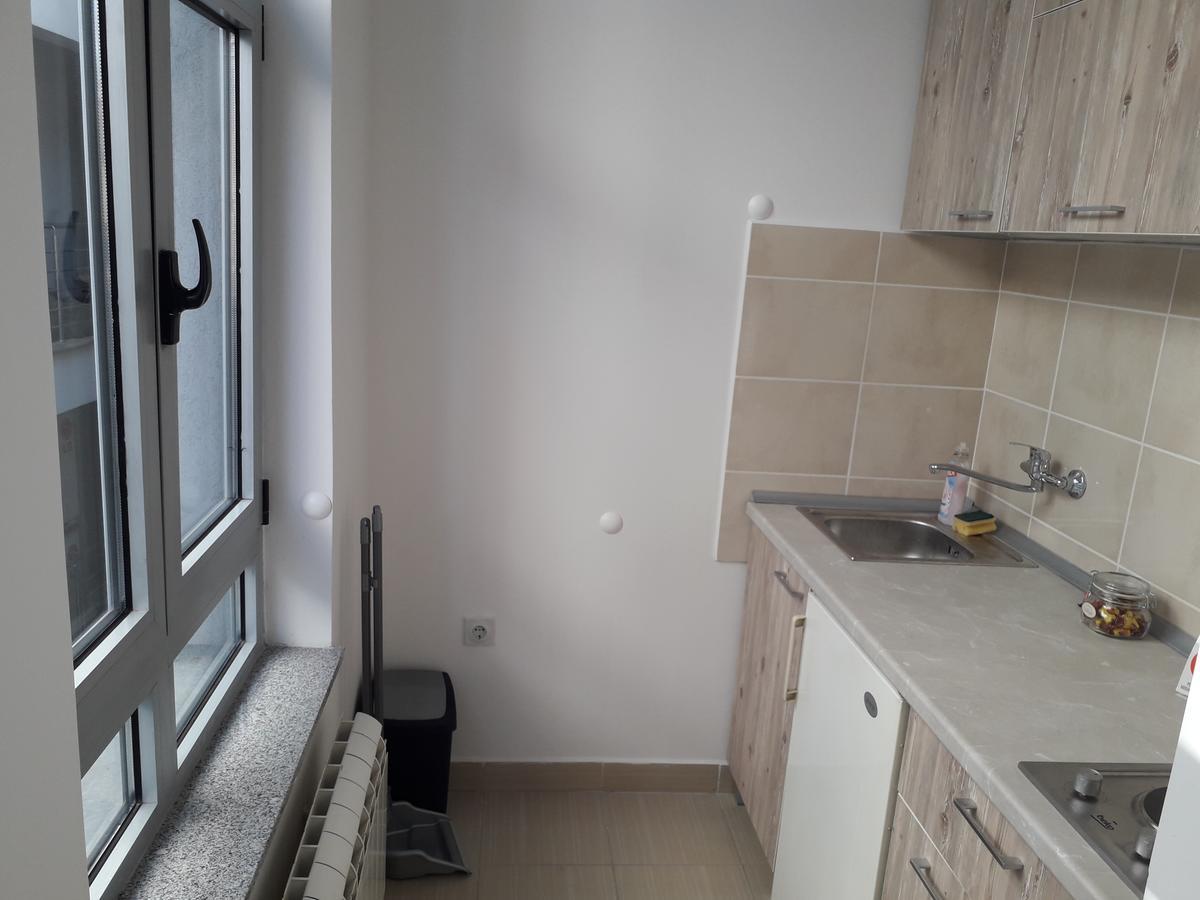 Studio Apartman Ld U Strogom Centru Novi Sad Eksteriør billede