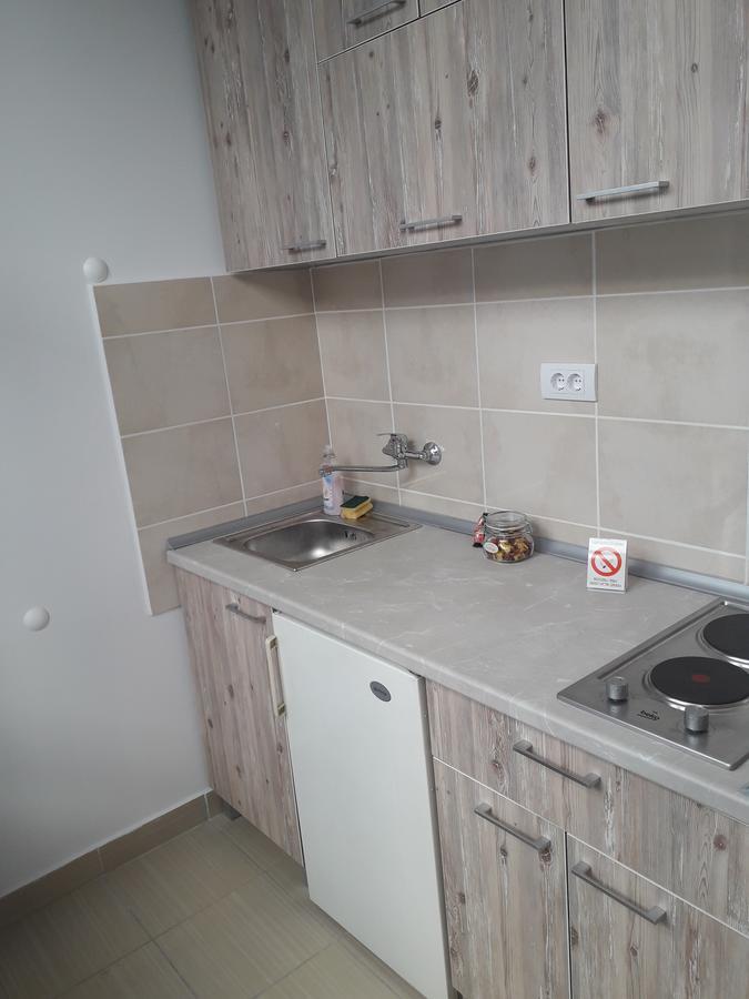 Studio Apartman Ld U Strogom Centru Novi Sad Eksteriør billede